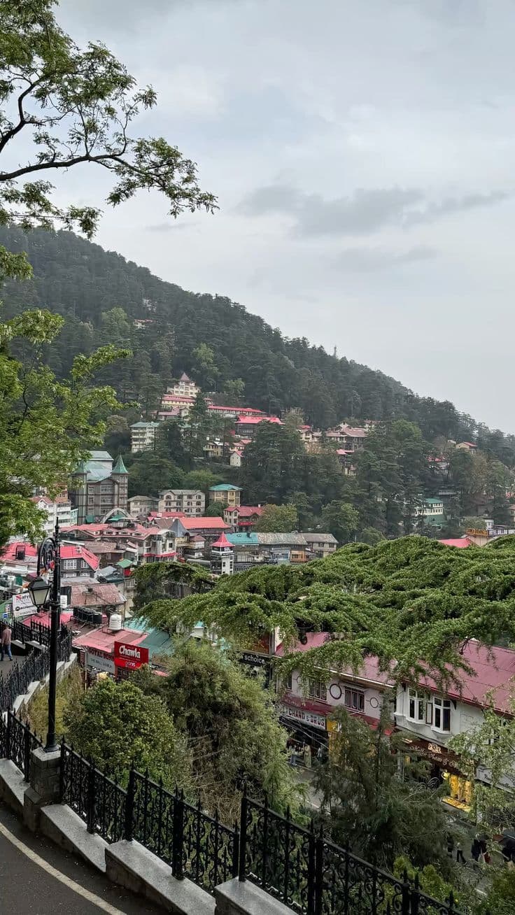 Shimla